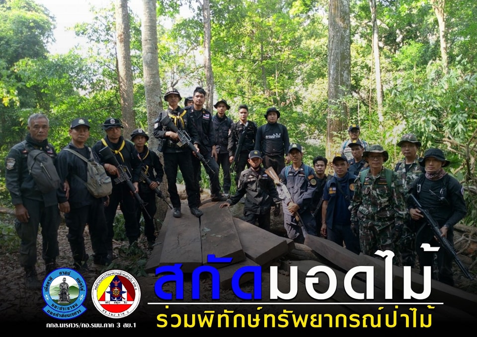 “สกัดมอดไม้“